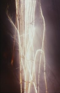 Feuerschilf