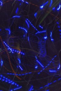 Wildes Blau